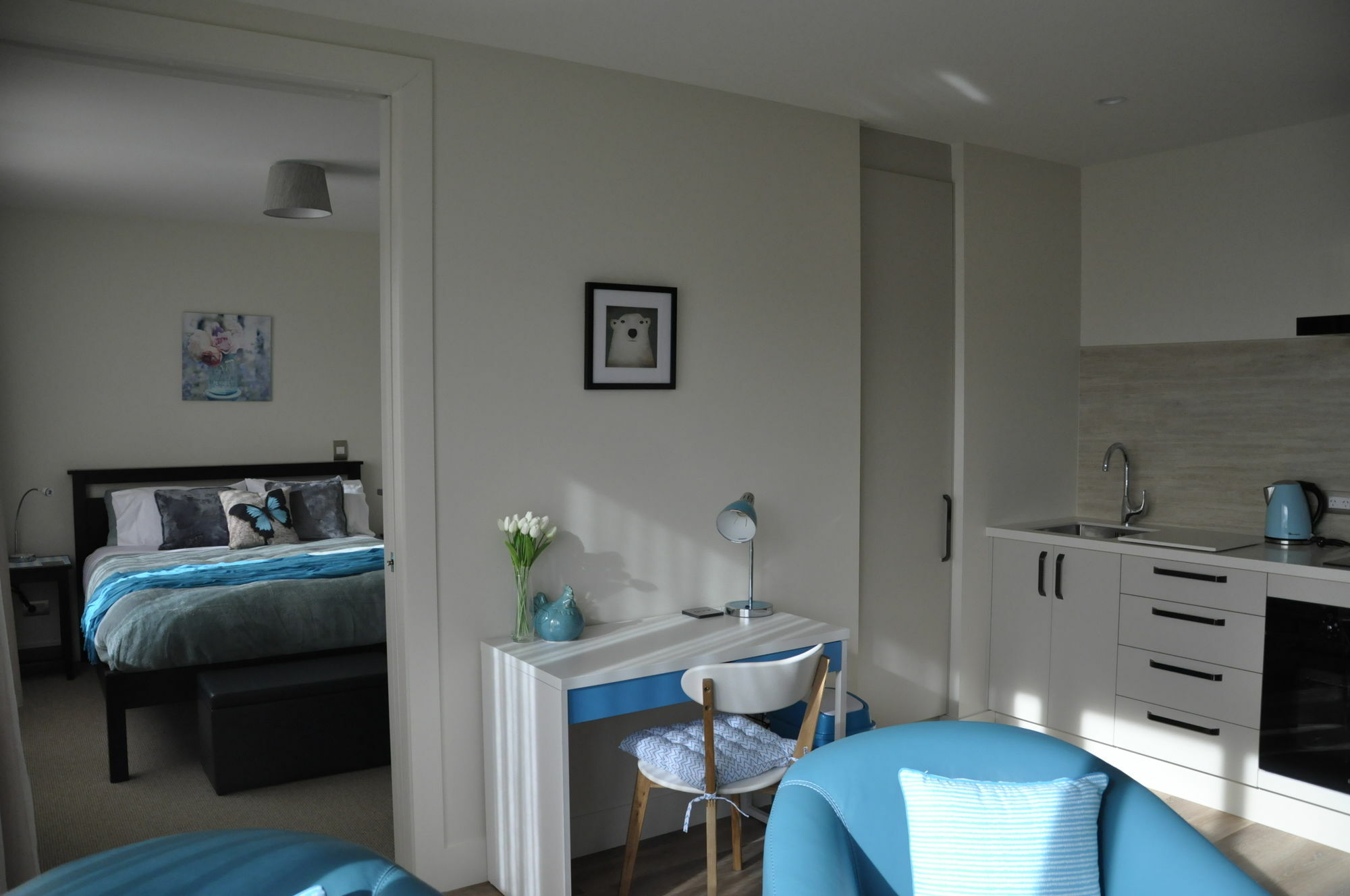 Shetland Court Apartments Dunedin Dış mekan fotoğraf